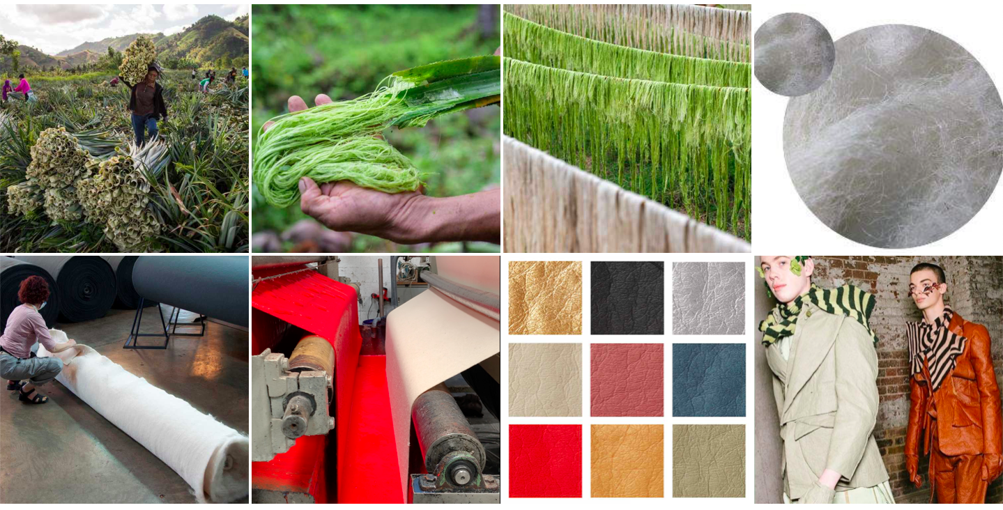 pinatex process