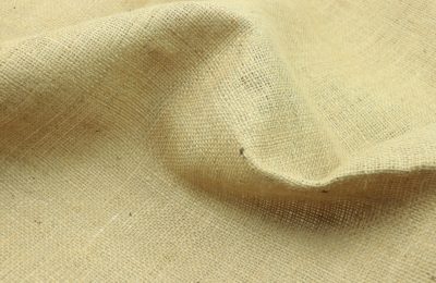 La sostenibilità della canapa (e un confronto con l