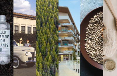 7 utilizzi “stupefacenti” della canapa per un futuro sostenibile a 360°