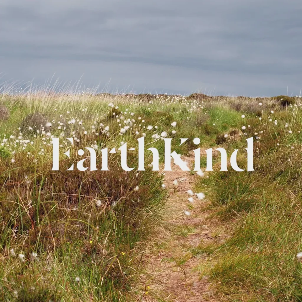 ba6e962873f148a6b28800149bb9f7cc.thumbnail.0000000000_1100x